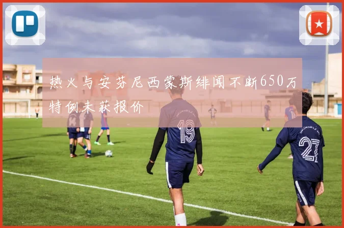 热火与安芬尼西蒙斯绯闻不断650万特例未获报价